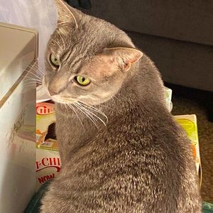 Meet your Posher, Daisy